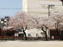 4月池田